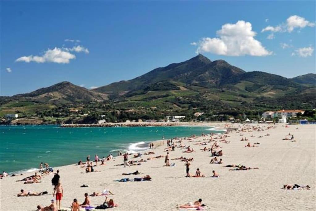 Studio/F1Bis A 50 M De La Plage Argelès-sur-Mer Buitenkant foto