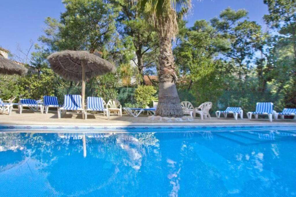 Studio/F1Bis A 50 M De La Plage Argelès-sur-Mer Buitenkant foto